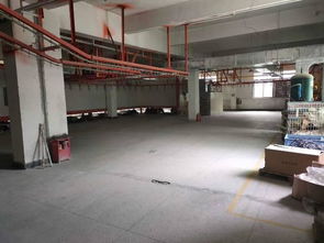 清溪镇惊现“零成本创业天堂” 现成喷漆厂与免费办公设备引热议